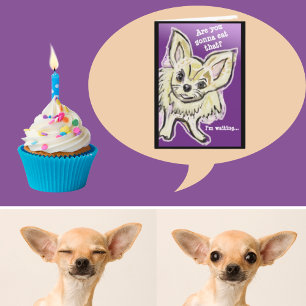funny dog birthday card