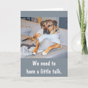 Funny Dog Birthday Card