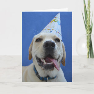 Funny Dog Birthday Card