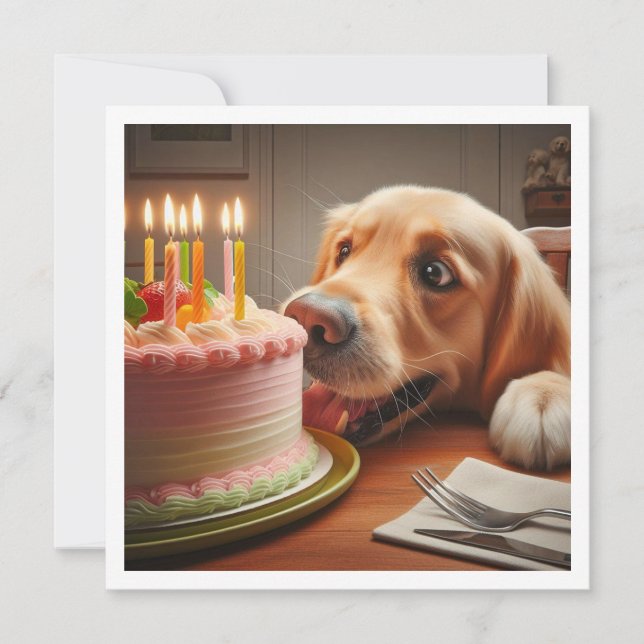 Funny dog birthday card, golden retriever  invitation (Front)