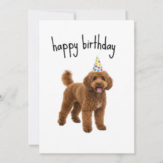 Funny Dog Birthday Card – Poodle Mum or Dad Gift 