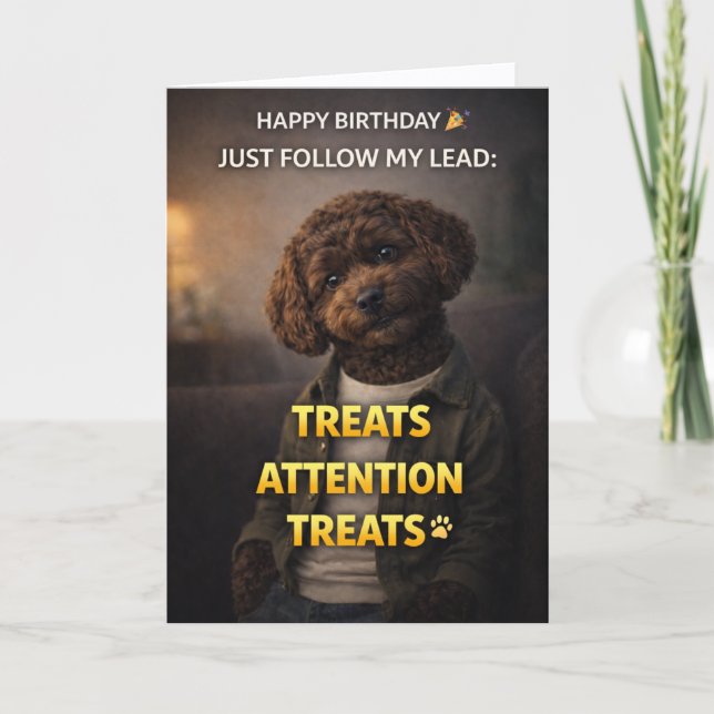 Funny Dog Birthday Card Treats Attention Cockapoo (Front)