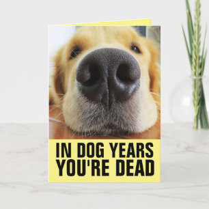 FUNNY DOG BIRTHDAY, IN DOG YEARS YOU'RE DEAD CARD
