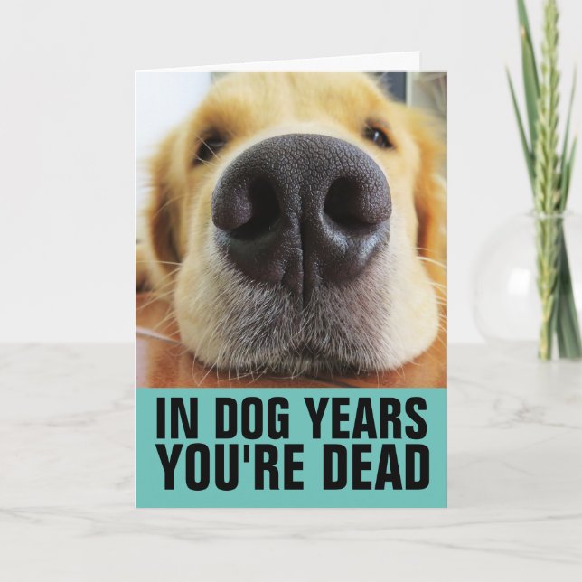 FUNNY DOG BIRTHDAY, IN DOG YEARS YOU'RE DEAD CARD (Front)