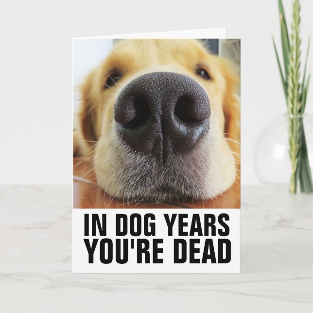 FUNNY DOG BIRTHDAY, IN DOG YEARS YOU'RE DEAD CARD (Front)