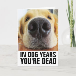 FUNNY DOG BIRTHDAY, IN DOG YEARS YOU'RE DEAD CARD