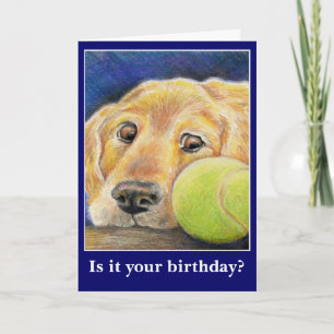 Funny dog birthday or other occasion card