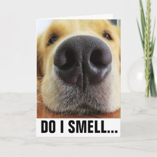 FUNNY DOG BIRTHDAY, SMELL BIRTHDAY CAKE? CARD