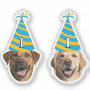 Funny Dog Birthday Sticker – Custom Face & Age
