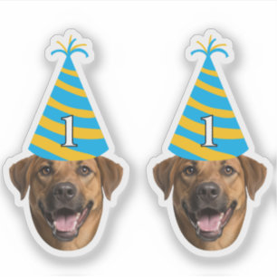 Funny Dog Birthday Sticker – Custom Face & Age
