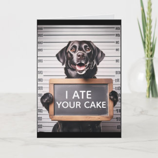 FUNNY DOG BRTHDAY GREETING CARD