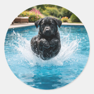 Funny dog Canonball Summer Pool Party Classic Round Sticker