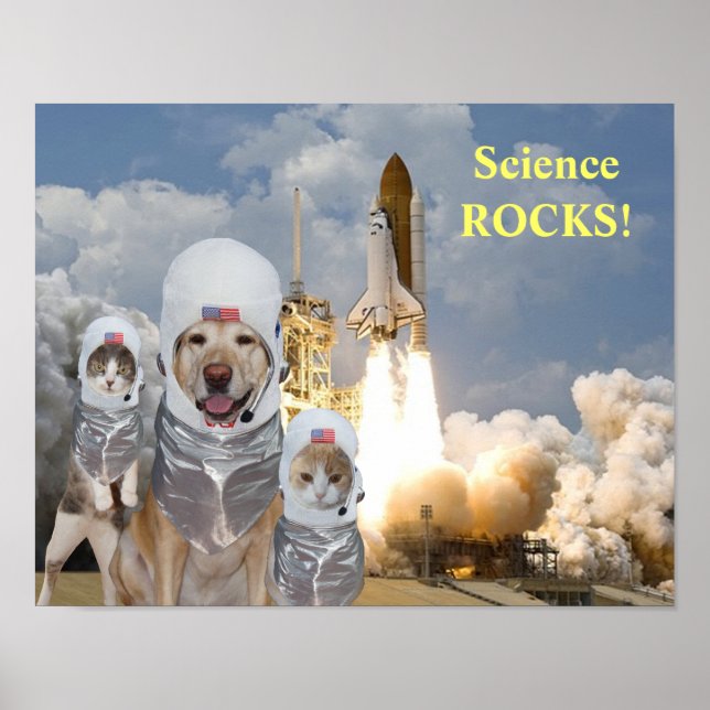 Funny Dog/Cat Astronauts Science Poster (Front)