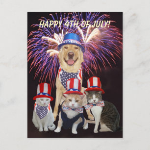 Funny Dog/Cat July 4th Postcard