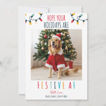Funny Dog Cat Pet Photo Christmas Festive AF