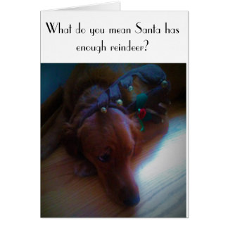 funny dog Christmas card