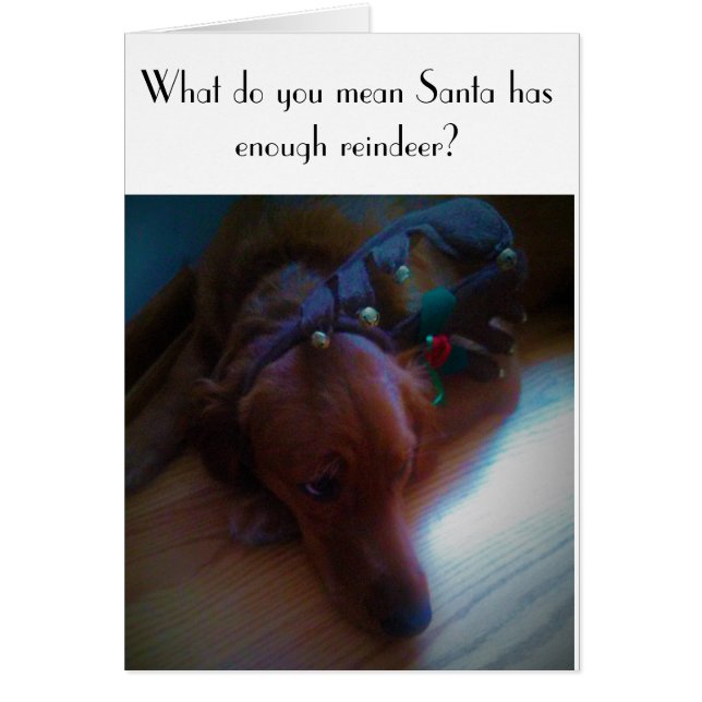 funny dog Christmas card (Front)