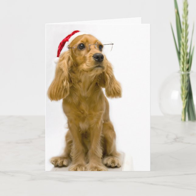 Funny Dog Christmas Card (Front)