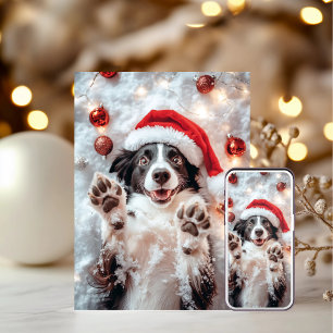 Funny Dog Christmas Cards