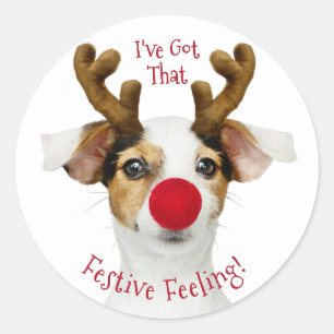 Funny Dog Christmas Classic Round Sticker