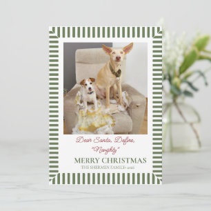 Funny Dog Christmas Photo Holiday Card