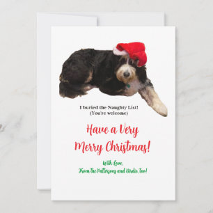 Funny Dog Christmas Photo Saying Flat Holiday Card