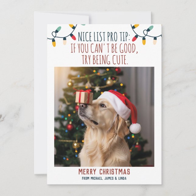 Funny Dog Christmas Photo with Custom Names Holiday Card (Front)