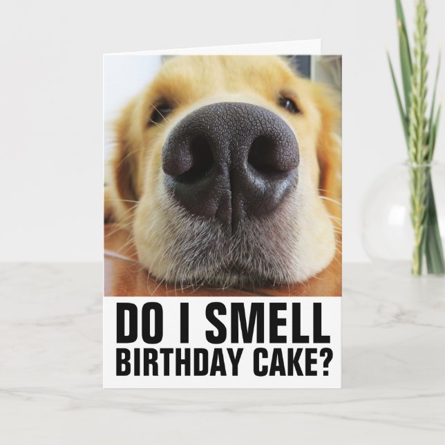 FUNNY DOG CLOSEUP BIRTHDAY CARDS (Front)