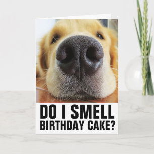 FUNNY DOG CLOSEUP BIRTHDAY CARDS
