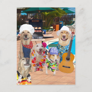 Funny Dog Customisable Pool Party Postcard