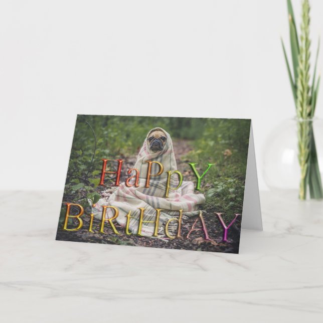 Funny dog feels cold photo card (Front)