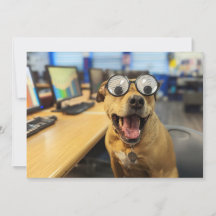 Funny Dog Googly Eyes, colourful, happy Photo Card