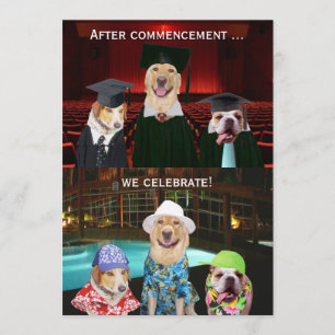Funny Dog Graduation Party Invitation