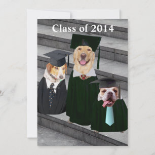 Funny Dog Graduation Party Invitation