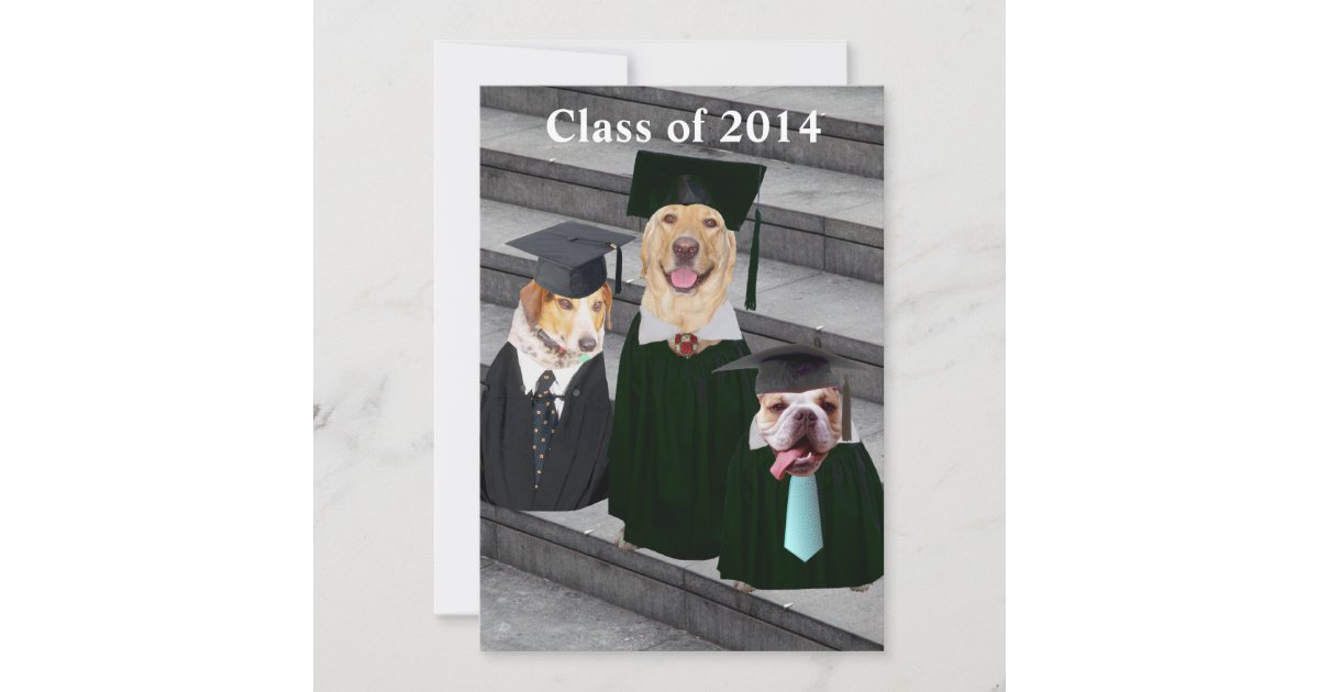 Funny Dog Graduation Party Invitation Zazzle