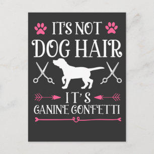 Funny Dog Groomer Quote Canine Puppy Grooming Postcard