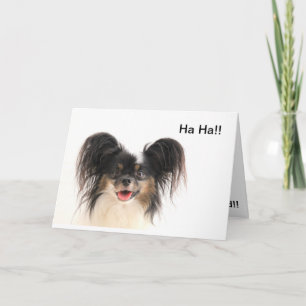 Funny Dog, Ha ha, You're Old Birthday Card