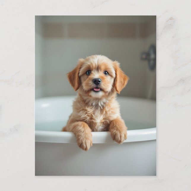 Funny dog in bathroom postcard (Front)