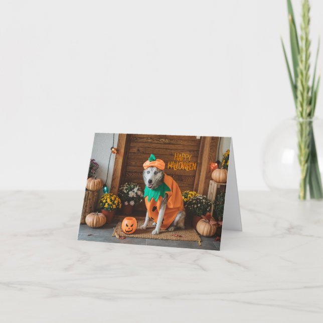 Funny Dog in Halloween Costume  Card (Front)