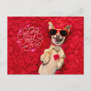 Funny Dog in Red Rose Petals Happy Valentine's  Postcard