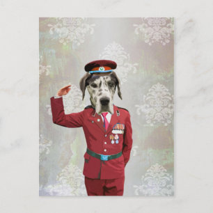 Funny dog in red uniform postcard