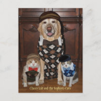 Funny Dog/Lab & Cats in Argyle Sweaters