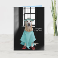 Funny Dog/Lab Get Well