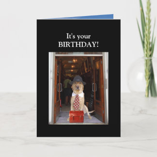Funny Dog/Lab Male Birthday Card