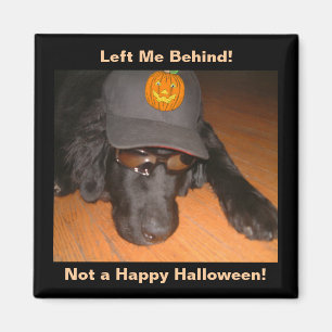 Funny Dog Left Behind This Halloween Magnet