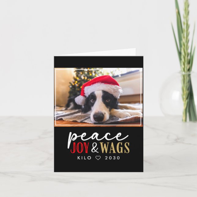 Funny Dog Lover Christmas Photo Cute D  Card (Front)