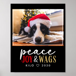 Funny Dog Lover Christmas Photo Cute D  Poster
