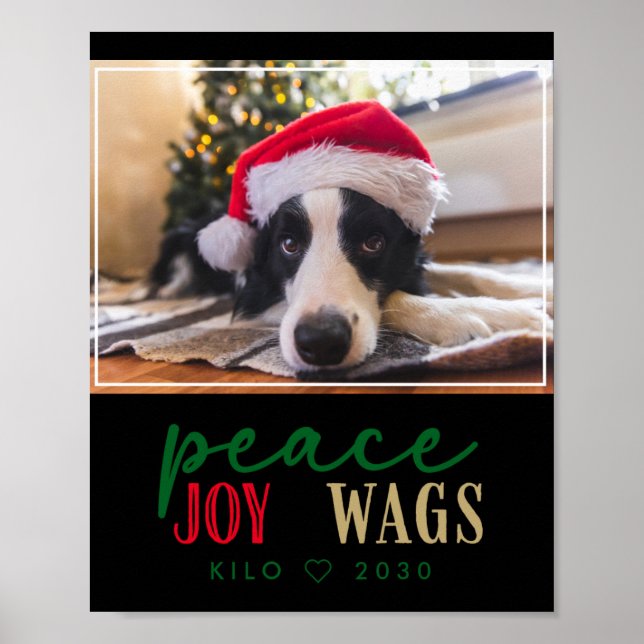 Funny Dog Lover Christmas Photo Cute D T Shirt  Poster (Front)