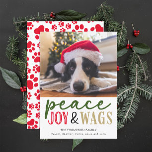 Funny Dog Lover Christmas Photo Cute Personalised Holiday Card