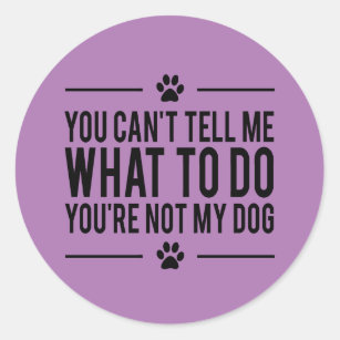 Funny Dog Lover Stickers